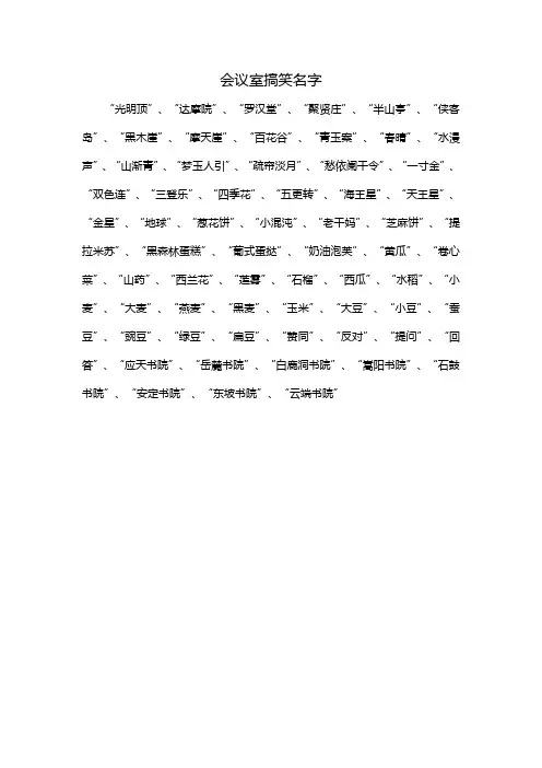 会议室搞笑名字