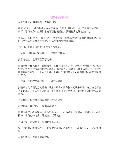 《雨中的森林》