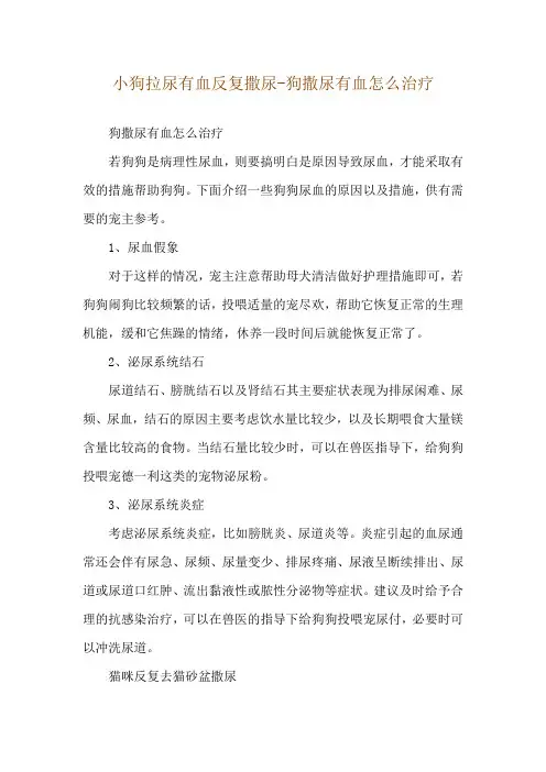 小狗拉尿有血反复撒尿-狗撒尿有血怎么治疗