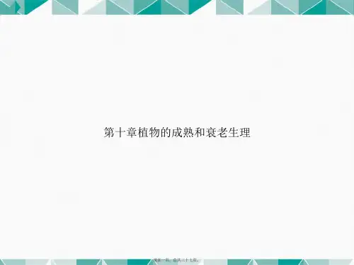第十章植物的成熟和衰老生理讲课文档