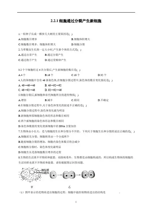 2.2.1细胞通过分裂产生新细胞—2022-2023学年人教版生物七年级上册一课一练(word版 
