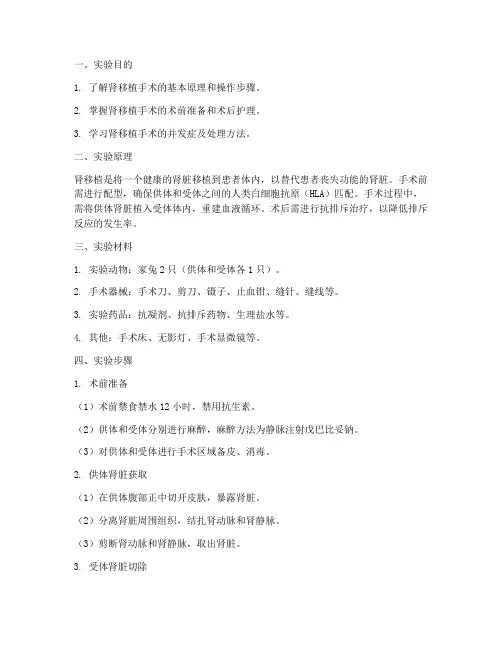 肾移植实验报告