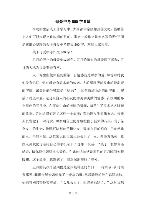 母爱中考800字5篇