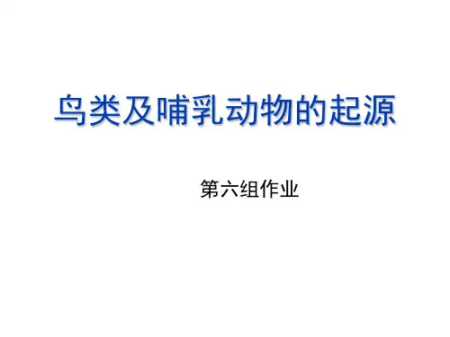 鸟类及哺乳动物的起源(修改版)