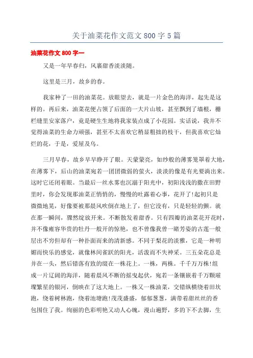 关于油菜花作文范文800字5篇