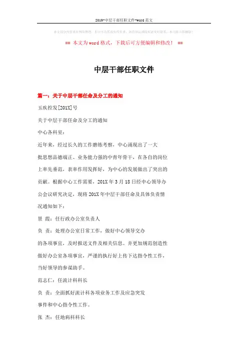 2019-中层干部任职文件-word范文 (8页)