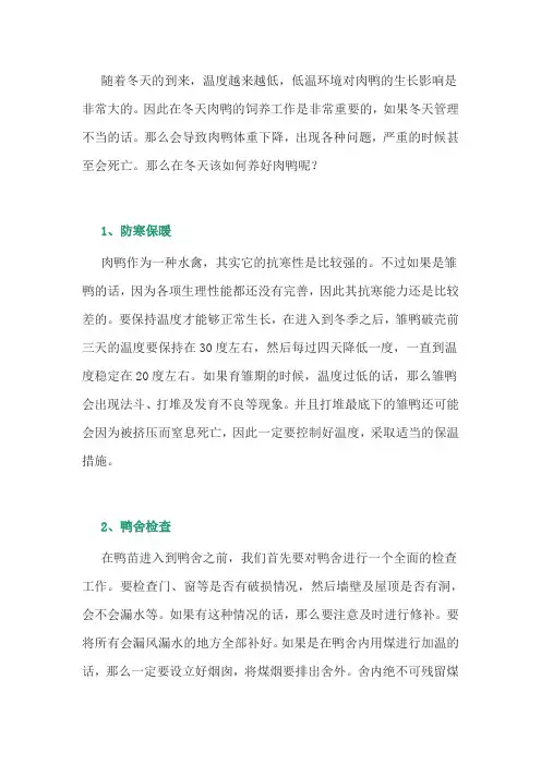 养鸭经验：肉鸭的养殖技术