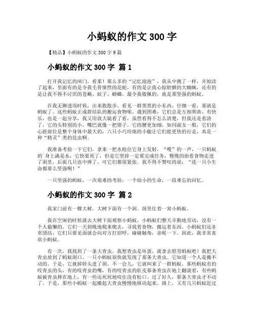 小蚂蚁的作文300字