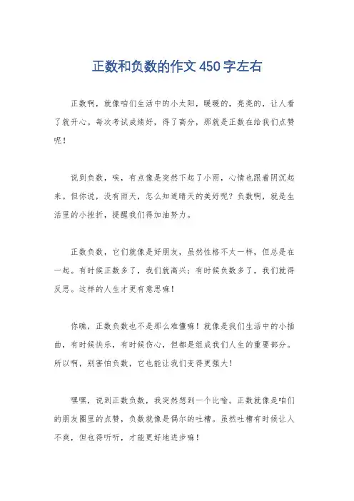 正数和负数的作文450字左右