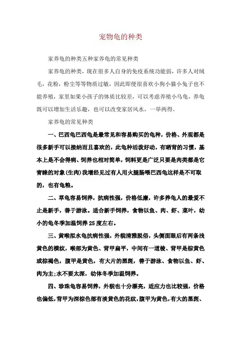 宠物龟的种类
