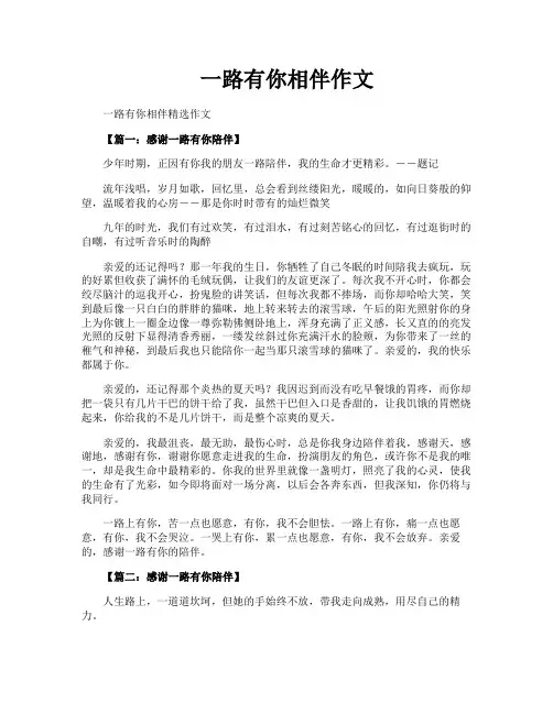 一路有你相伴作文