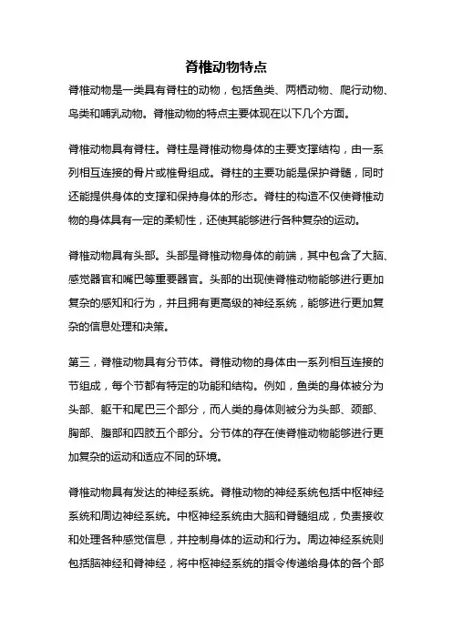 脊椎动物特点