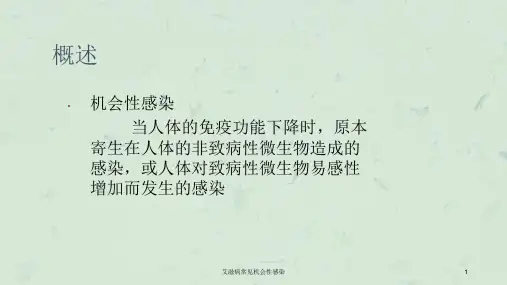 艾滋病常见机会性感染课件