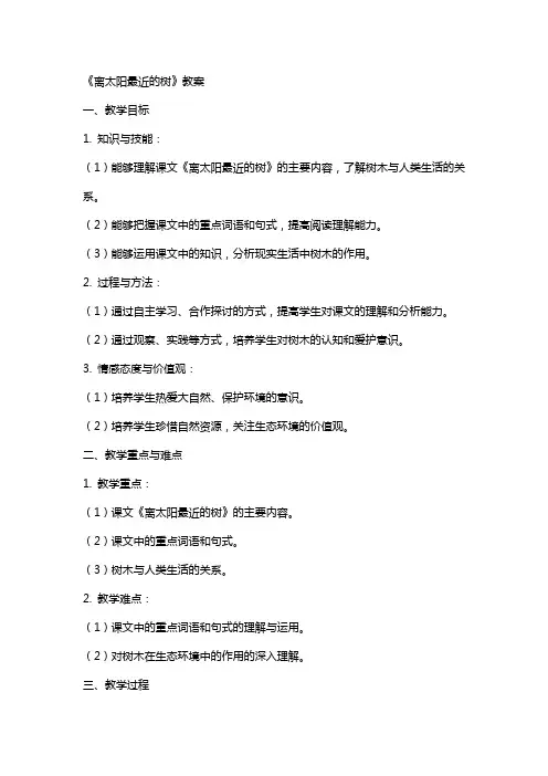《离太阳最近的树》教案