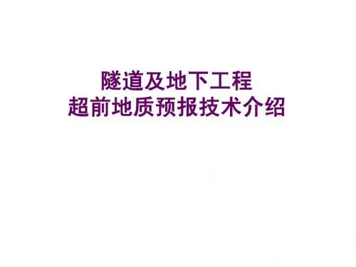 隧道及地下工程超前地质预报技术介绍