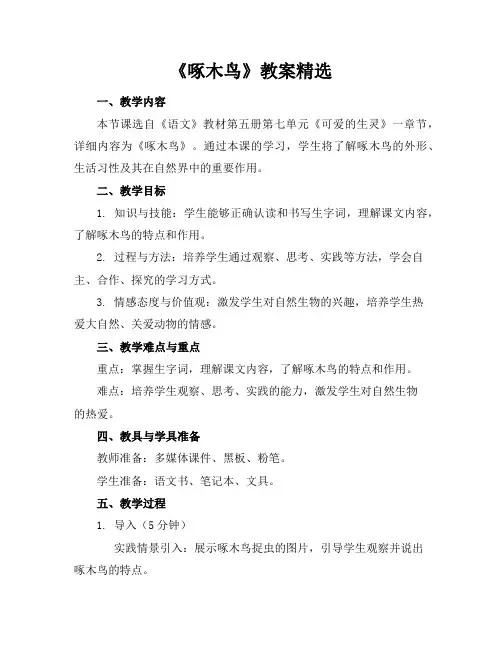 《啄木鸟》教案精选