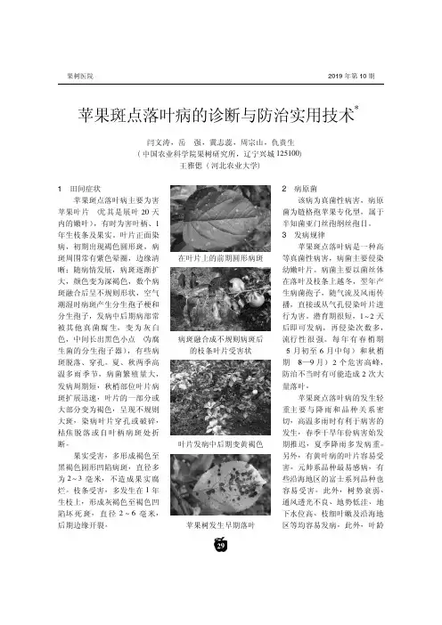 苹果斑点落叶病的诊断与防治实用技术