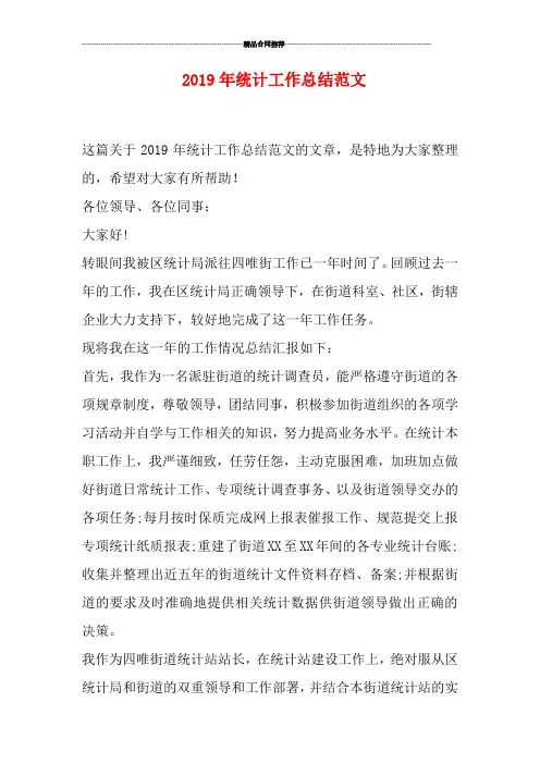 2019年统计工作总结范文