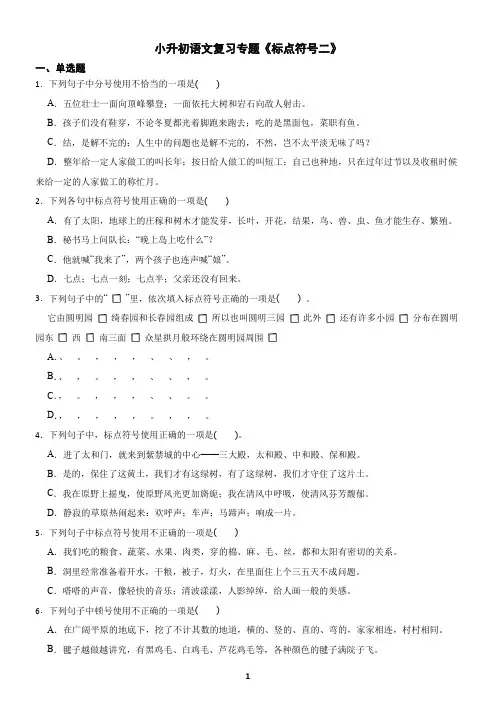 小升初语文复习专题《标点符号2》练习及答案