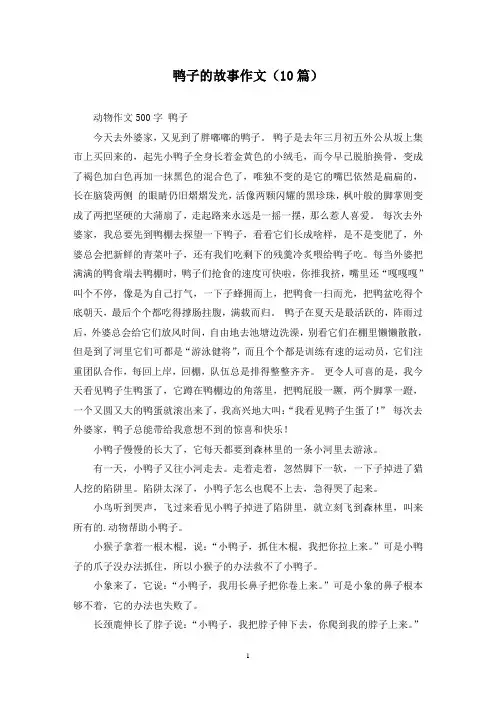 鸭子的故事作文(10篇)