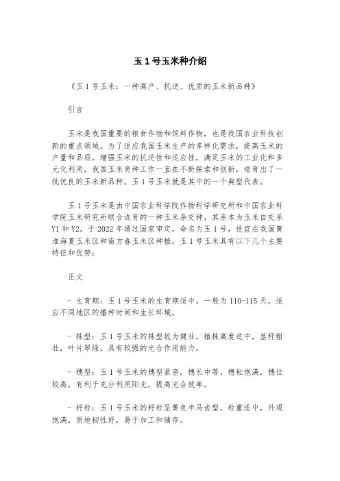 玉1号玉米种介绍