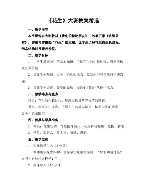 《花生》大班教案精选