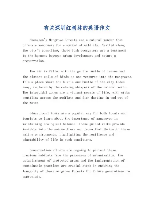 有关深圳红树林的英语作文
