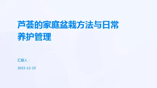 芦荟的家庭盆栽方法与日常养护管理