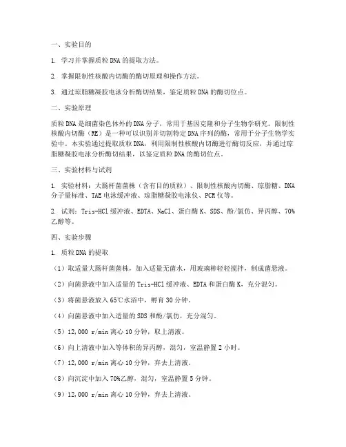 质粒酶切反应实验报告