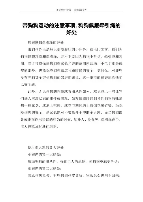 带狗狗运动的注意事项,狗狗佩戴牵引绳的好处