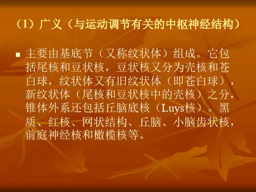 锥外系统疾病及其鉴别诊断