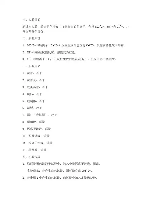 阴离子检测实验报告