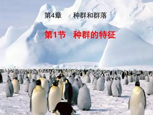 种群的特征