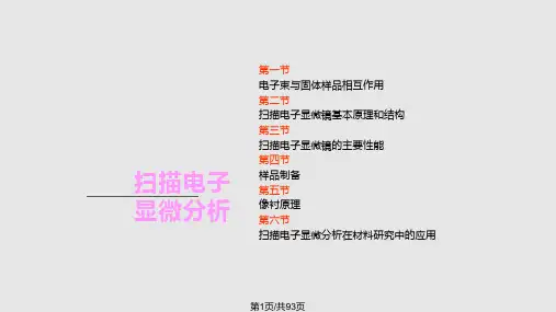 扫描电镜PPT课件
