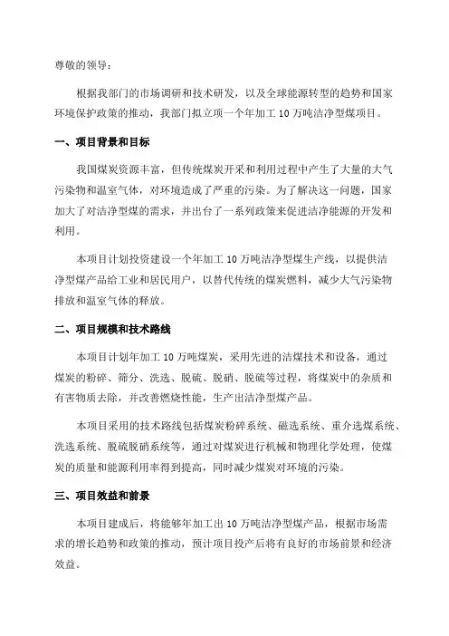 年加工10万吨洁净型煤项目立项申请报告