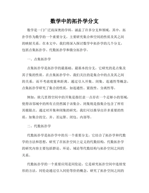数学中的拓扑学分支