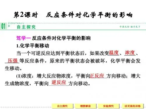  反应条件对化学平衡的影响