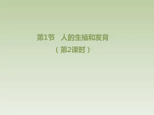 北师大版八年级生物上册《人的生殖和发育》第2课时优秀课件1