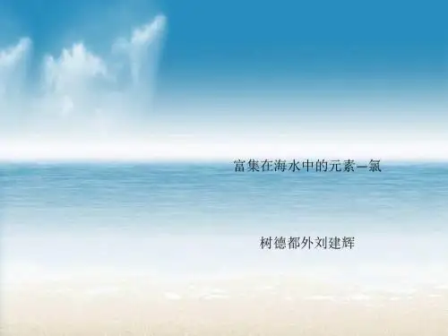 化学课件《富集在海水中的元素——氯》优秀ppt65 人教课标版