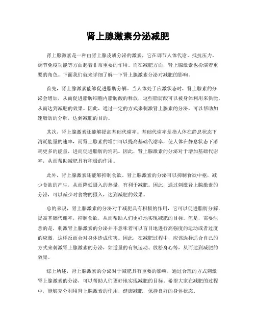 肾上腺激素分泌减肥