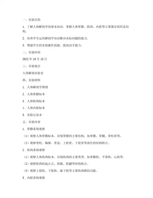 实训课人体解剖实验报告