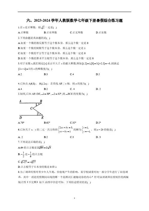 2023-2024学年人教版数学七年级下册暑假综合练习题六(含解析)