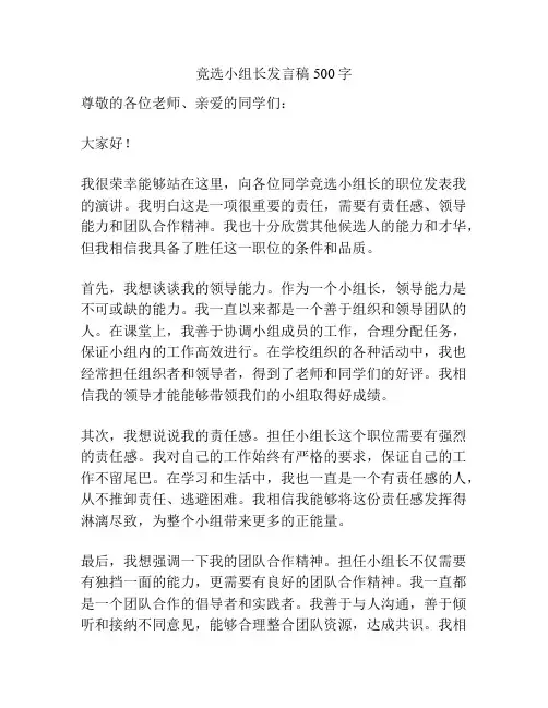 竟选小组长发言稿500字
