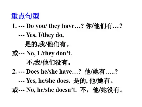 人教版七年级上册英语Unit5Doyouhaveasoccerball复习课件共20张PPT