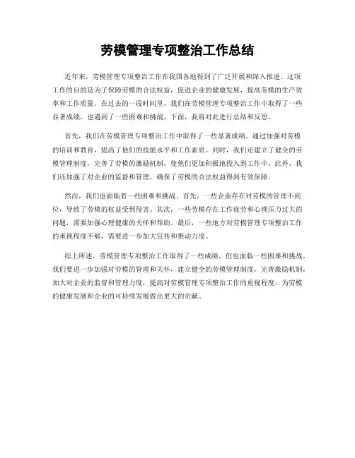 劳模管理专项整治工作总结