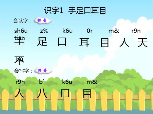 识字1  手足口耳目_生字词学习