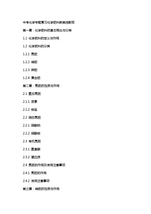 中考化学专题复习化学肥料教案湘教版