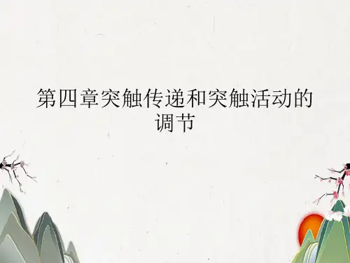 第四章突触传递和突触活动的调节