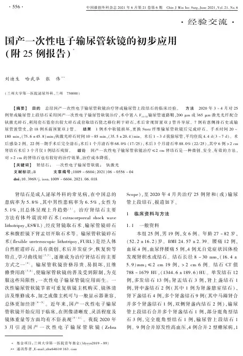 国产一次性电子输尿管软镜的初步应用(附25例报告)