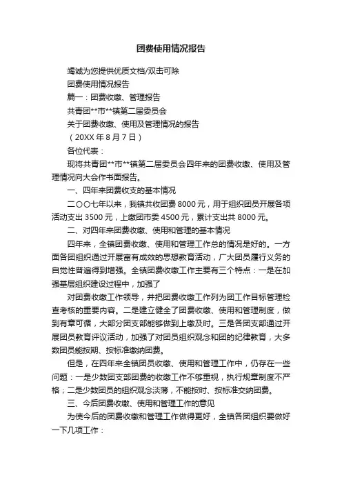 团费使用情况报告